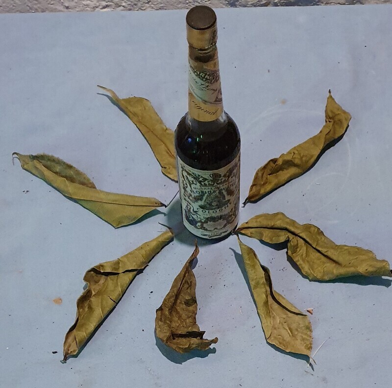 Dagbeneva Special Lucky Perfum