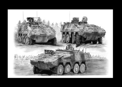 067 - A3 Mounted/(UNFRAMED) Print - Boxer 067 - A3 Mounted/(UNFRAMED) Print - Boxer