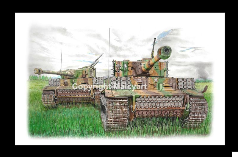 020 - A3 mounted (unframed) Print - 'Brace of Tigers'