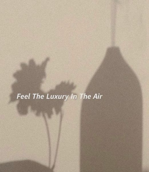 Luxury air