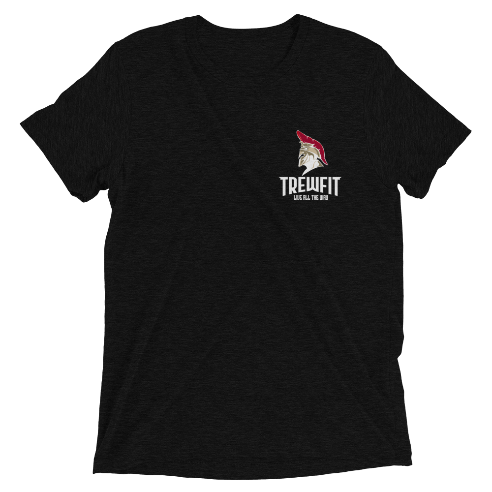 Men's Triblend Tee