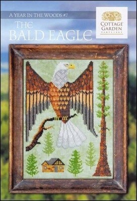 A Year in the Woods #7 - The Bald Eagle