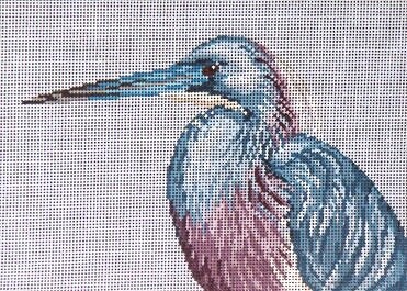 Tri-Colored (Louisiana) Heron