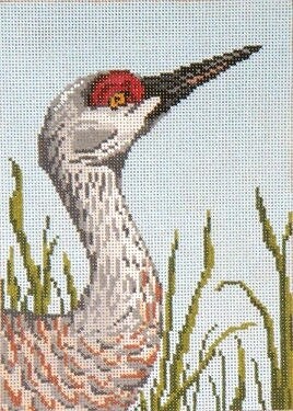 Sandhill Crane Head