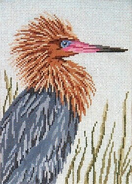 Reddish Egret