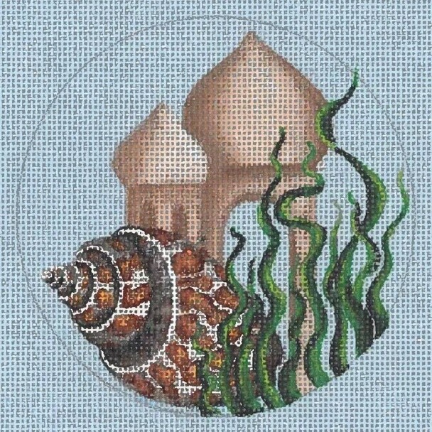 Spirata Shell