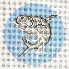 Tarpon