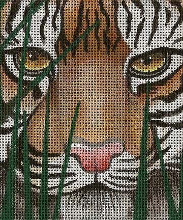 A Tiger Awaits