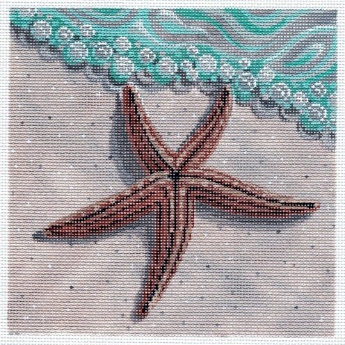 Star Fish on the Beach