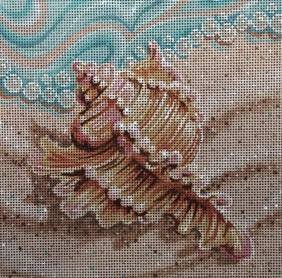 Seashell