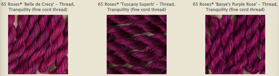 Treenway Tranquility - 65 Roses 018 - Basye's Purple Rose