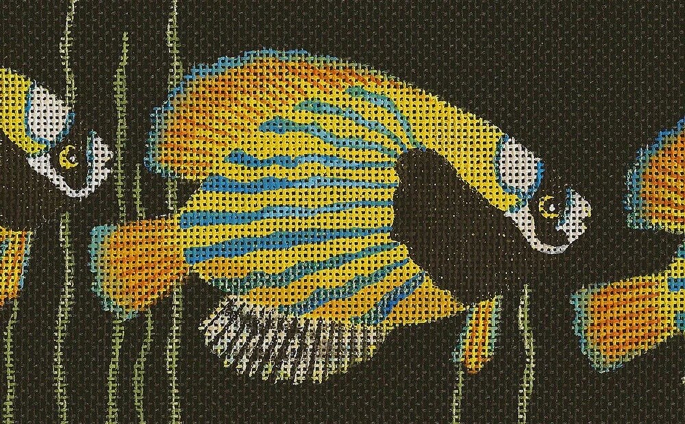 Something Fishy (BD90)
