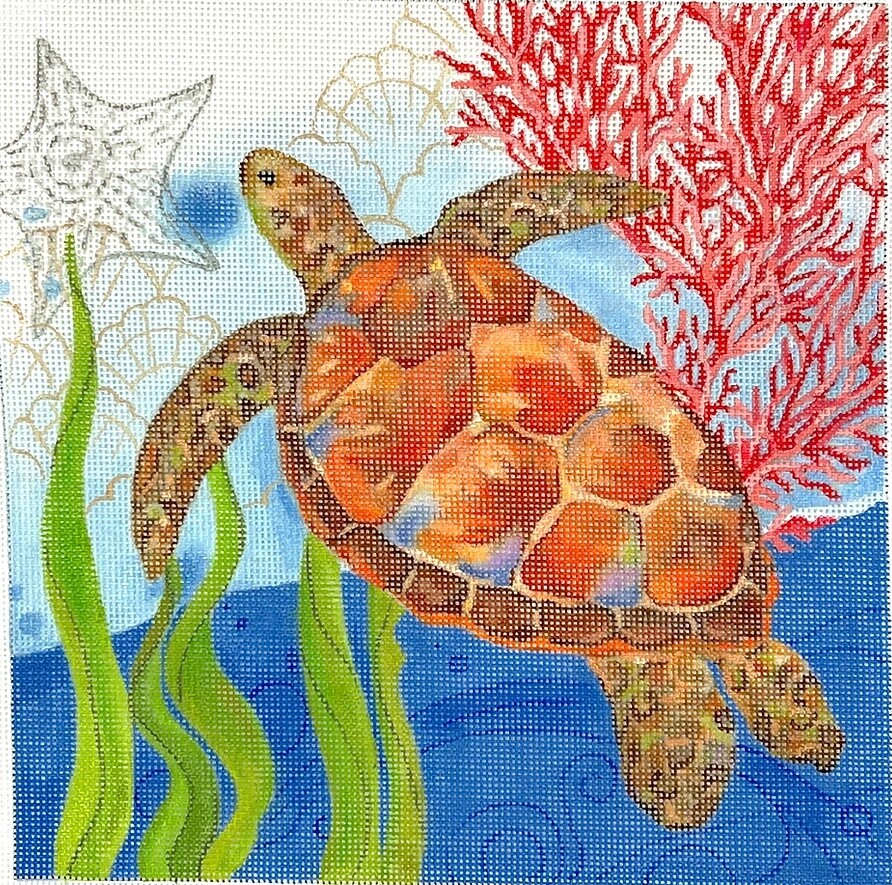 Oceana Sea Turtle with Coral