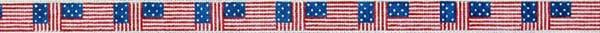 American Flag repeated belt - 18m
