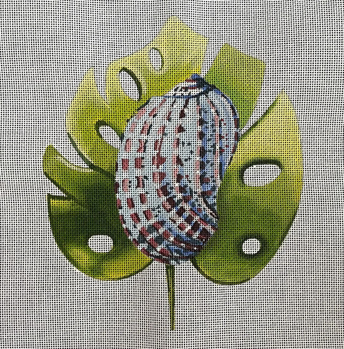 Shell on a Leaf
