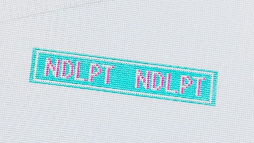 NDLPT Key Fob