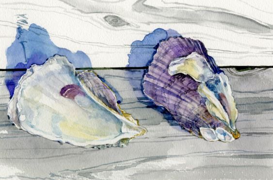 Two Shells on the Deck