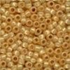 Size 8 Glass Beads - Golden Opal