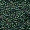 Size 11 Antique Glass Seed Beads - Autumn Green