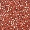 Size 11 Antique Glass Seed Beads - Cherry Sorbet