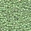 Size 11 Antique Glass Seed Beads - Satin Moss