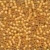 Size 11 Frosted Glass Seed Beads - Autumn
