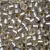Size 6 Glass Beads - Frosted Ice