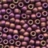 Size 6 Glass Beads - Wildberry