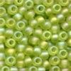 Size 6 Glass Beads - Frosted Citrus