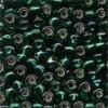 Size 6 Glass Beads - Brilliant Green
