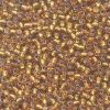 Size 11 Glass Seed Beads - Golden Olive