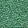 Size 11 Glass Seed Beads - Ice Green