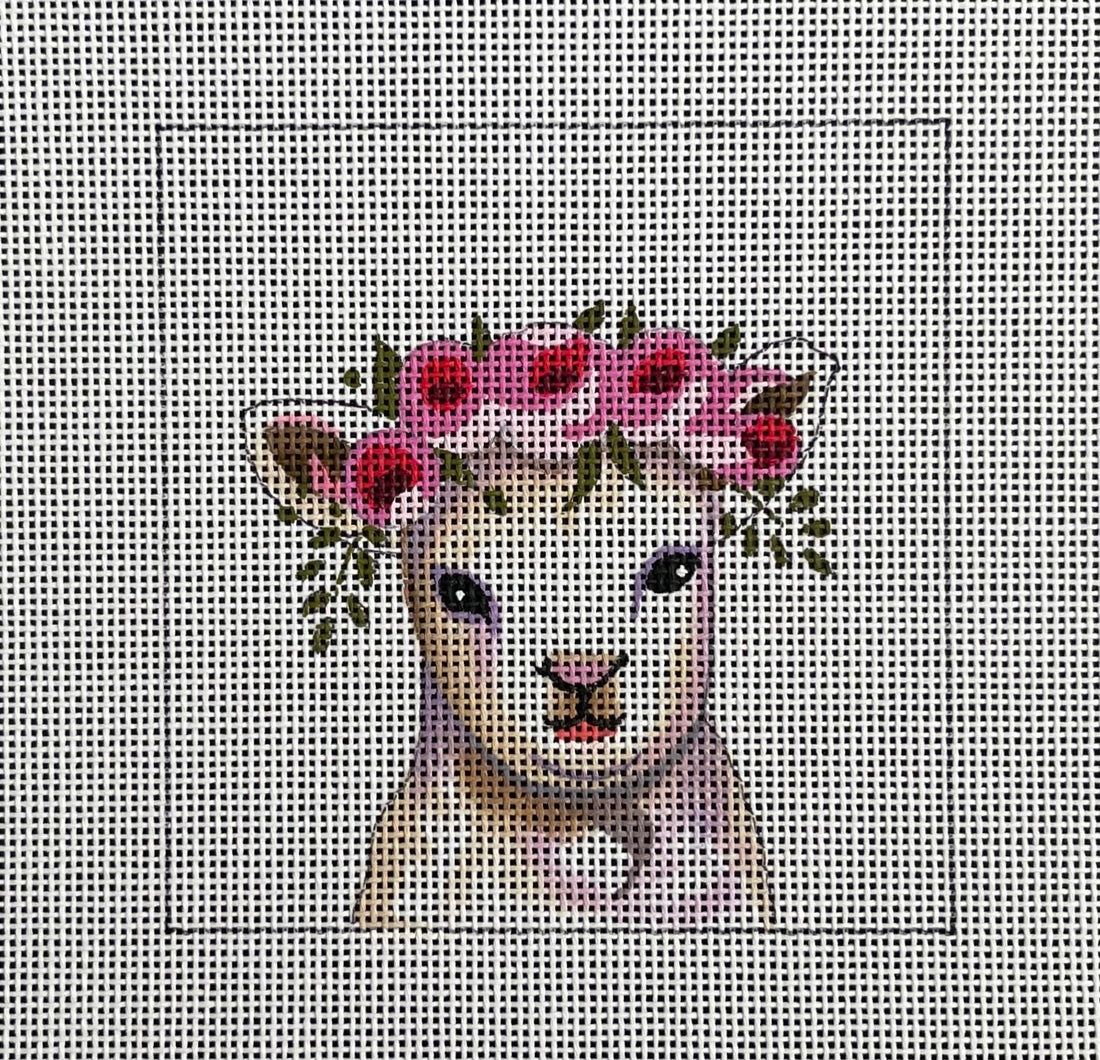 Baby Lamb