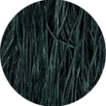 Straw Silk - 0423 - Peacock