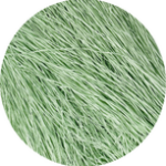 Straw Silk - 0429 - Gin