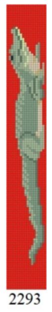 Alligator - Key Fob