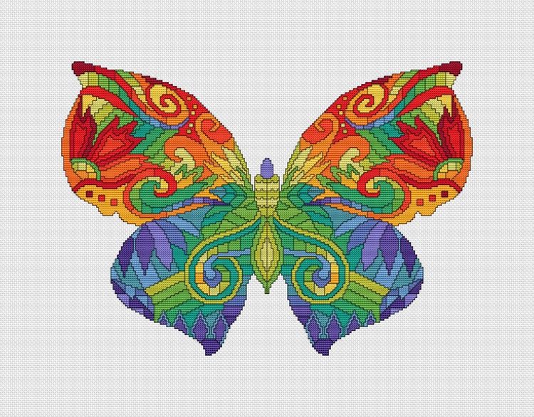 Colorful Butterfly