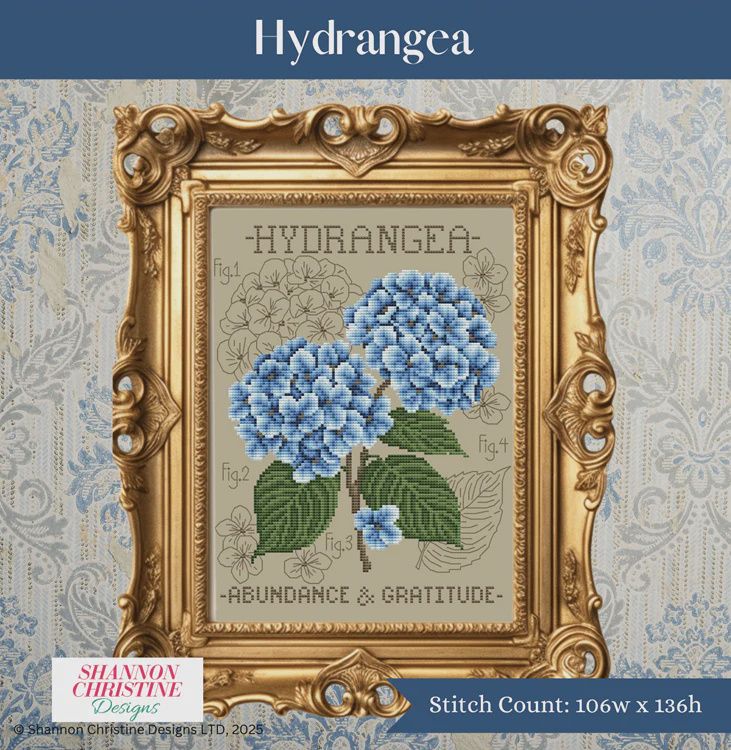 Hydrangea (Shannon Christine Designs)