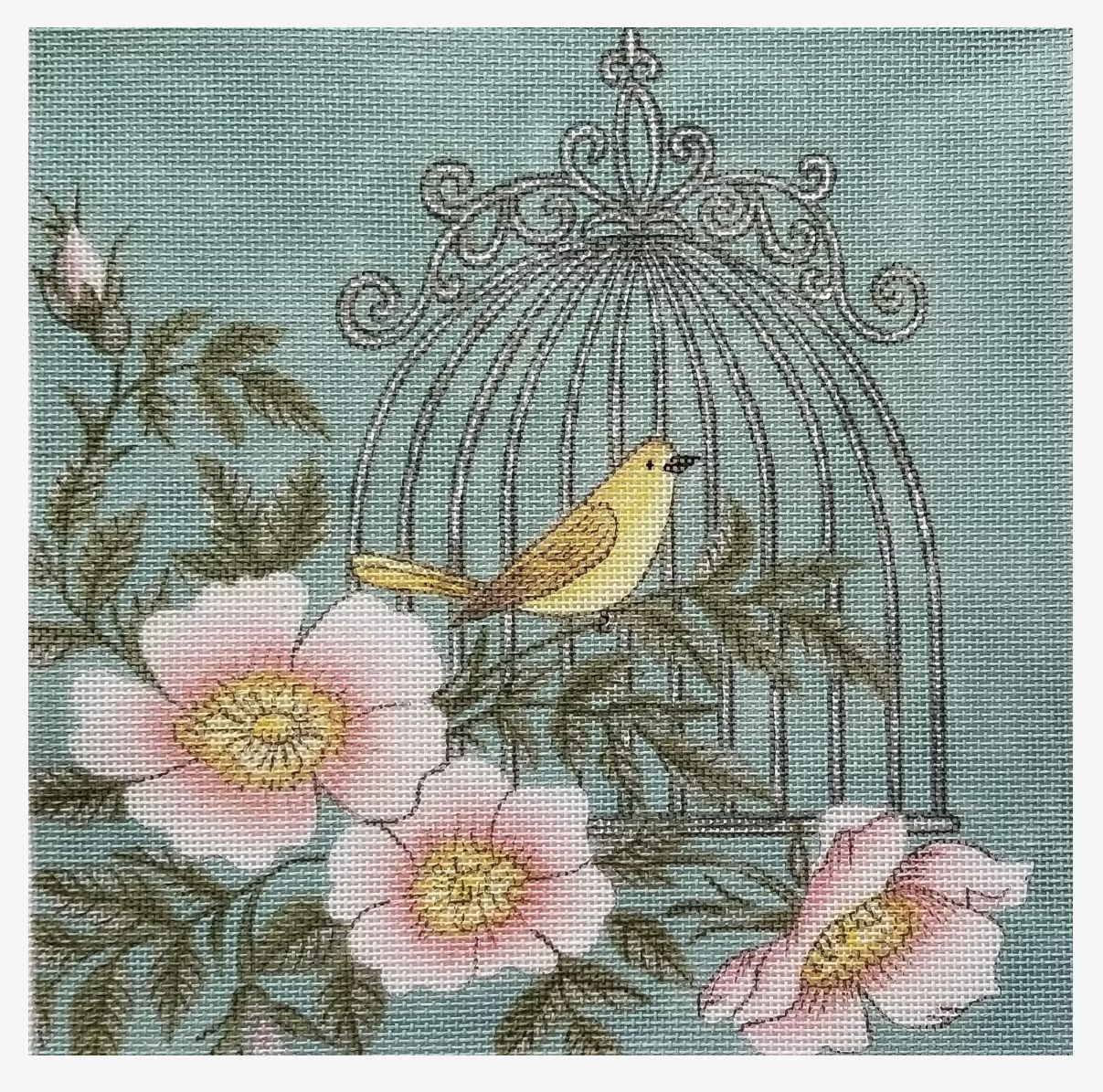 Birdcage Turquoise