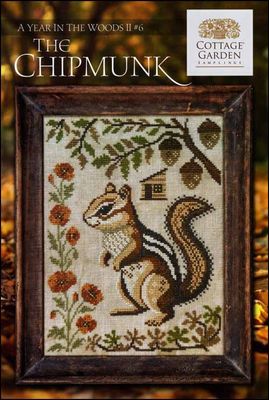 A Year in the Woods II - #6 - The Chipmunk
