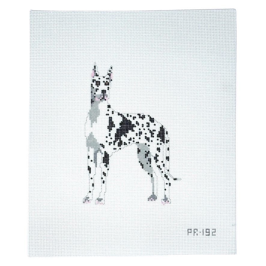 Harlequin Great Dane