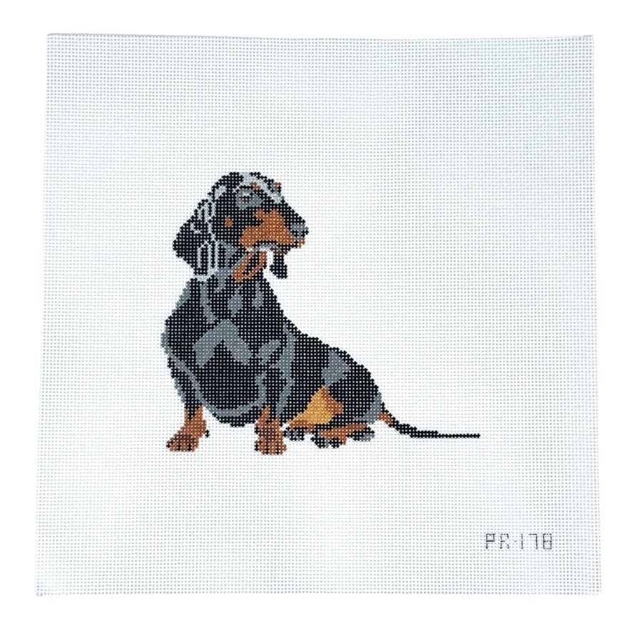 Gretel the Dachshund