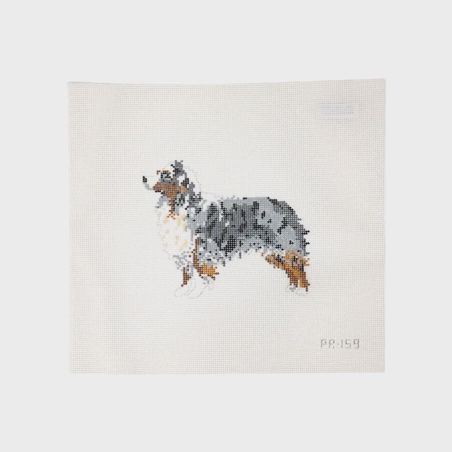 Australian Shepherd