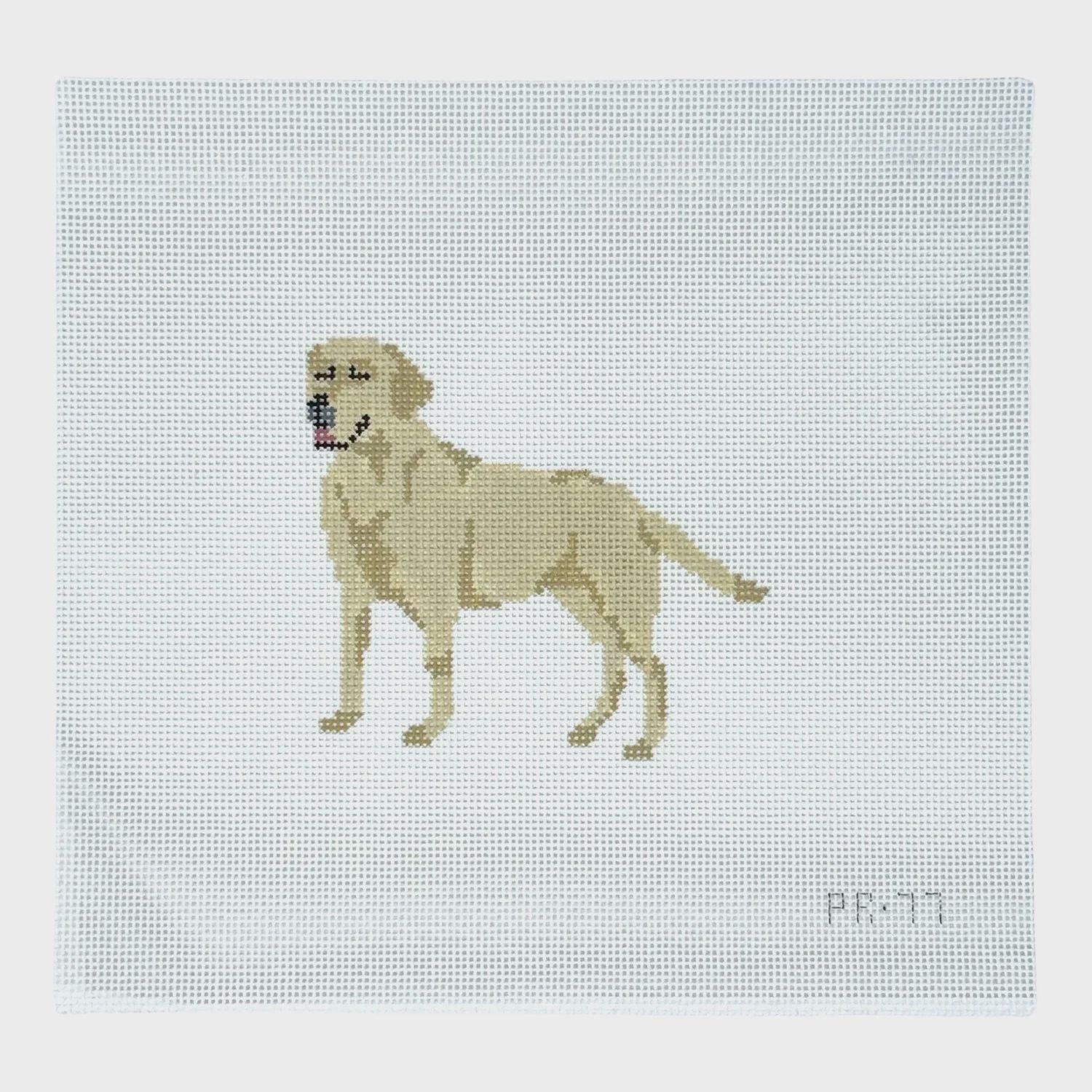 Yellow Lab (Pip &amp; Roo)