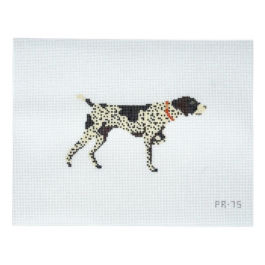 German Shorthaired Pointer