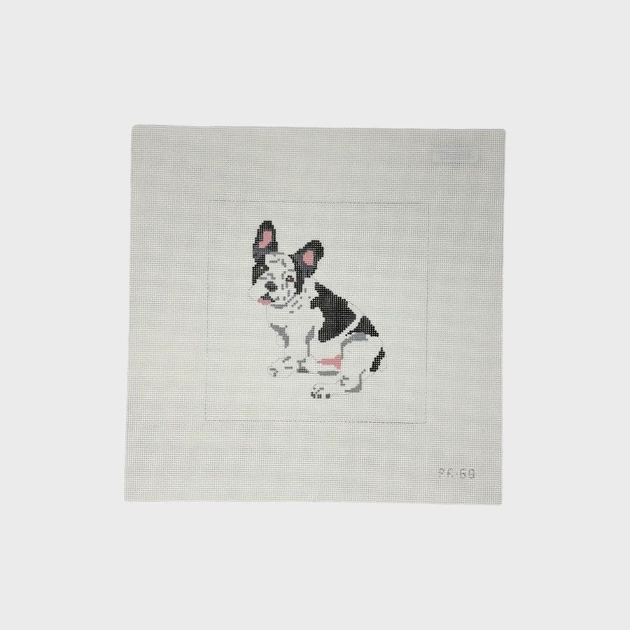 French Bull Dog