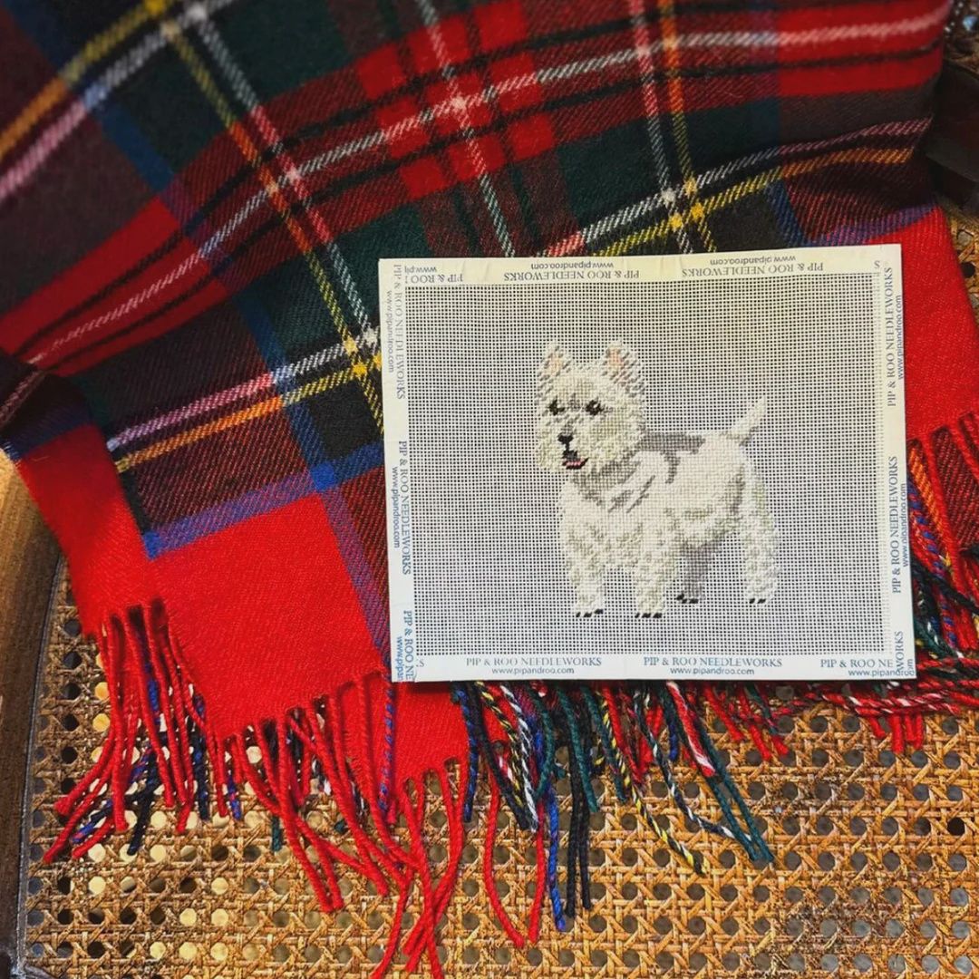 Westie