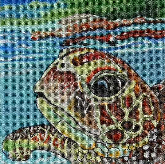 Loggerhead Reflections