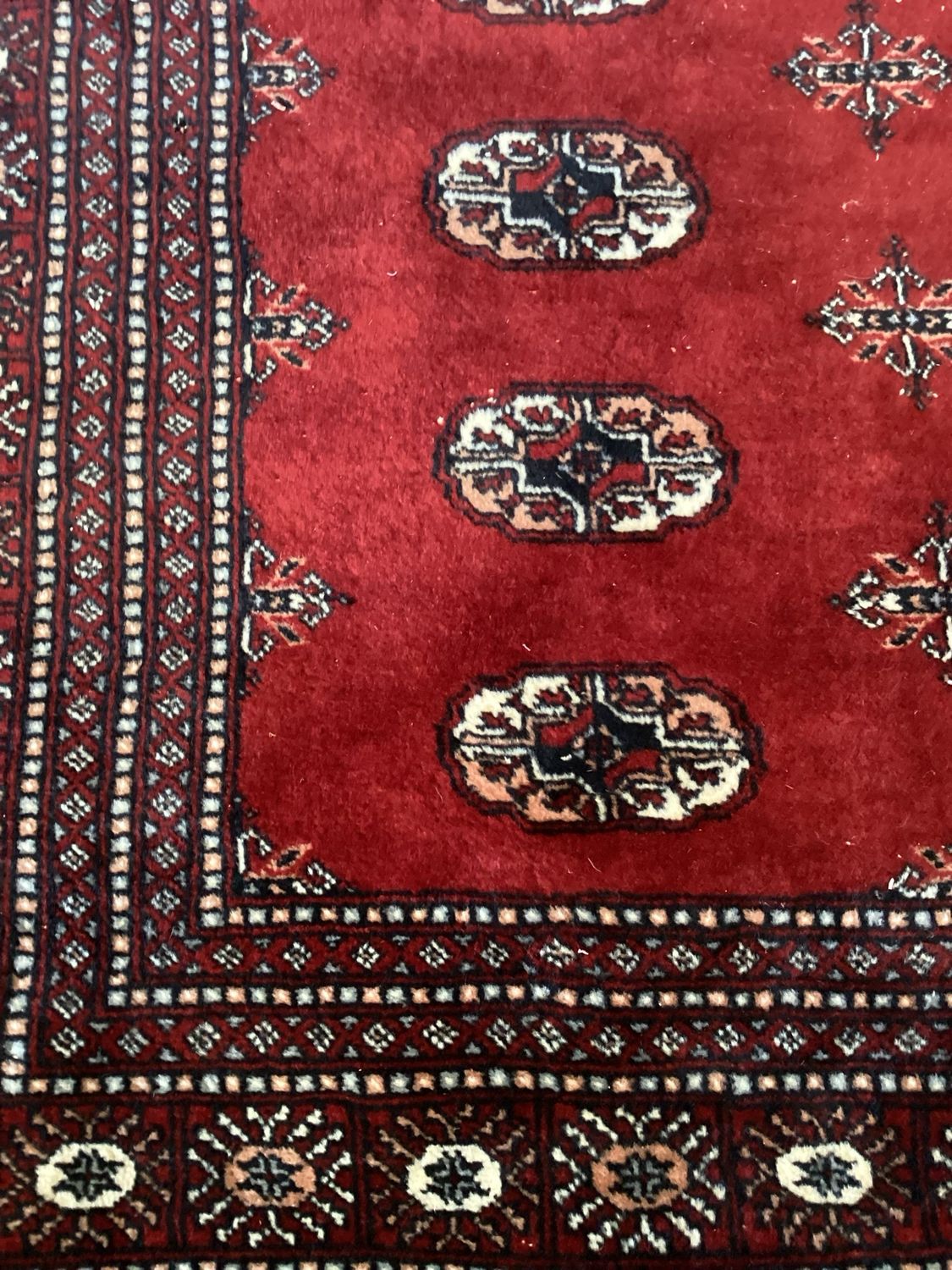 Large Bokara Style Wool Rug