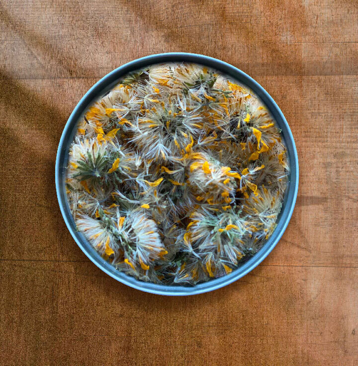 Arnica Blossom, organic